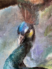 Peacock oil on canvas Eshurin Rostislav