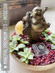 Bronze Buddha - Hotei figure on agate bowl with a succulent’s table garden on a wooden stand Бронзовый Будда - Хотей на чаше из агата с цветочной композицией на деревянной подставке