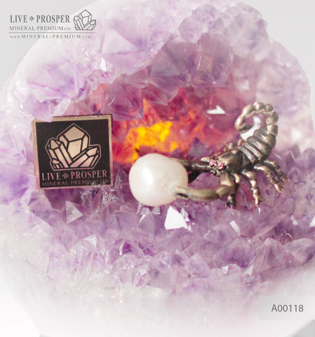Bronze Scorpion at Geode agate Amethyst sphere - medium size