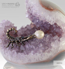 Bronze figure of Scorpion at Geode agate amethyst Sphere with Sea pearl