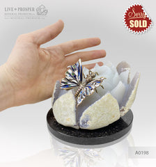 Bronze butterfly with colored enamel on an agate Lotus flower on a dolerite plate