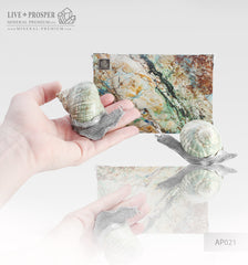 Home décor Two Snails from the Seashell with a tin lining on a marble base - salt and pepper shakers  Декор для дома Две Улитки из Морской раковины c накладкой из олова на подставке из мрамора  – солонка и перечница