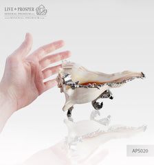 Home décor Seashell with silver 925 lining - ashtray for cigars Декор для дома Морская раковина c накладкой из серебра 925 пробы – пепельница для сигар 