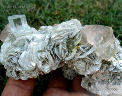 Exhibition sample: Sky Blue aquamarine 325CT with Pink Apatite and Pink Fluorite 2 170CT on Muscovite 0,348g Выставочный образец: Небесно-голубой аквамарин 325 карат с розовым Апатитом и розовым Флюоритом 2 170 карат с мусковитом 0,348г