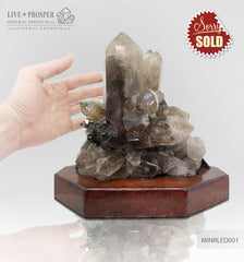 Collectible mineral specimen of Smoky quartz (Rauchtopaz) with Pyrite on a wooden stand