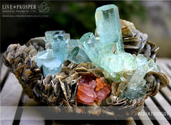 Sky Blue aquamarine Island with Pink Apatite 9 020 CT on Muscovite Небесно-голубой аквамариновый «Остров» с розовым Апатитом 9 020 Карат на мусковите 