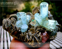 Sky Blue aquamarine Island with Pink Apatite 9 020 CT on Muscovite Небесно-голубой аквамариновый «Остров» с розовым Апатитом 9 020 Карат на мусковите 
